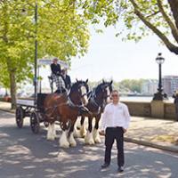 Fraser & Ellis Ltd centenary horses