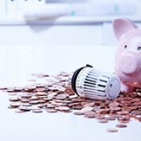 APHC Piggy Bank with money