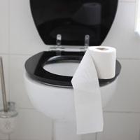 Tacking the global sanitation crisis - World Toilet Day 2017 Toilet
