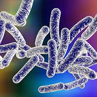 Legionnaire's disease Legionnaire's disease