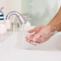 Hopping To Hygiene Excellence Hopping To Hygiene Excellence