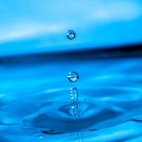 Pimlico Plumbers loses court battle over worker status